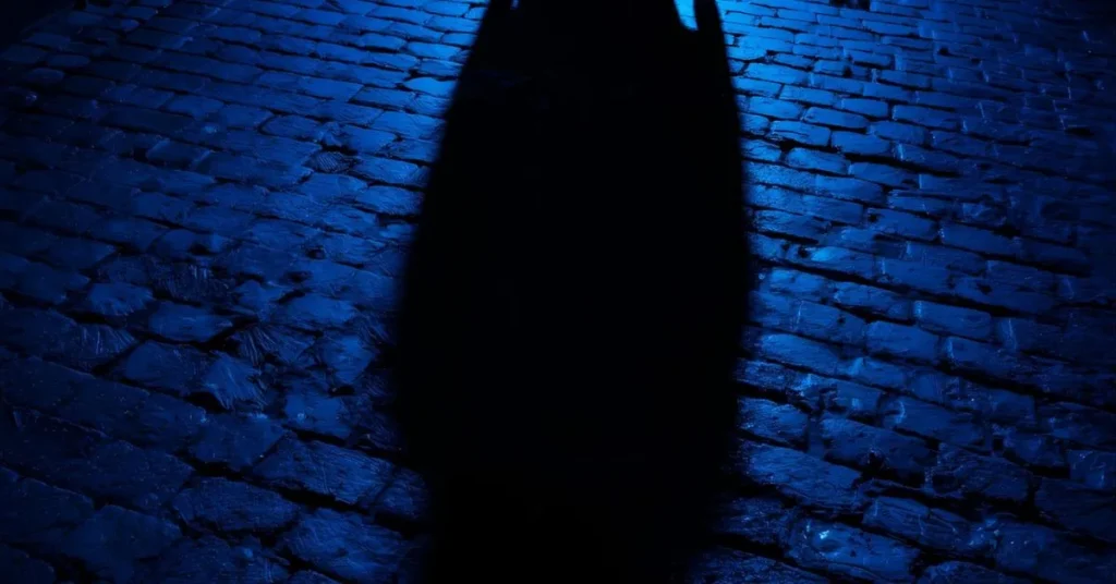 Fear is a cold shadow