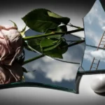 Metaphor Photography