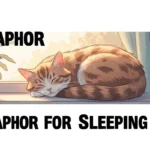 Metaphor for Sleeping Cat